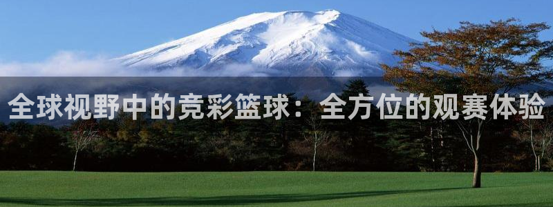 全球视野中的竞彩篮球：全方位的观赛体验
