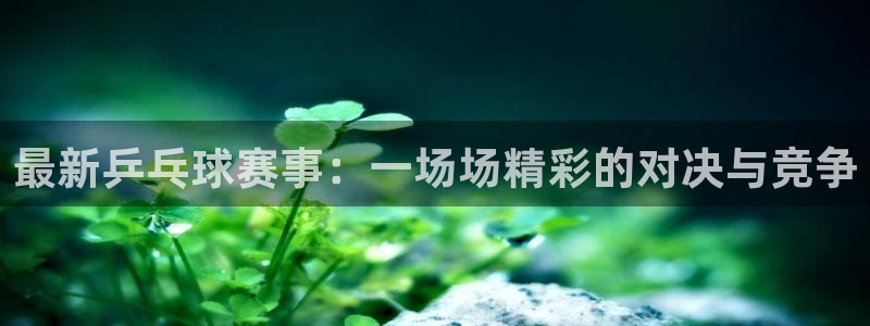 最新乒乓球赛事：一场场精彩的对决与竞争
