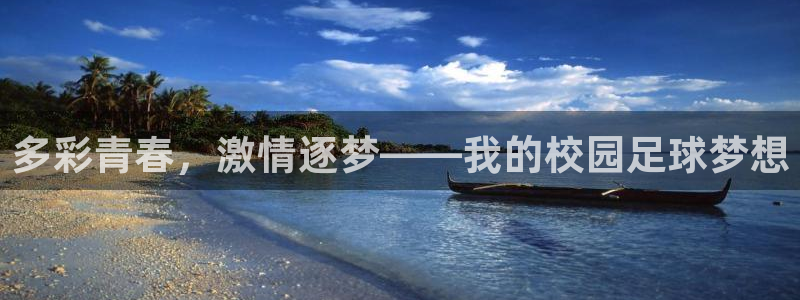 多彩青春，激情逐梦——我的校园足球梦想