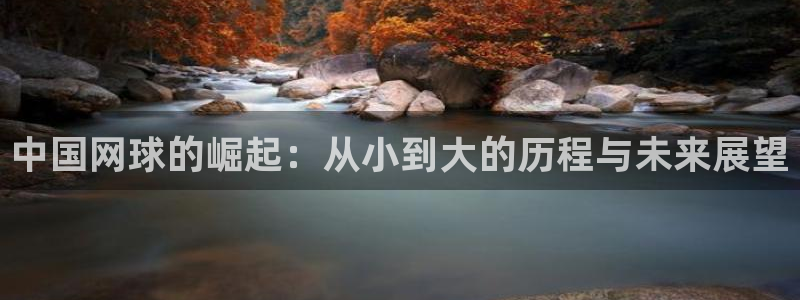 中国网球的崛起：从小到大的历程与未来展望