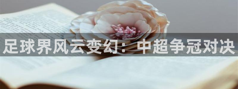 米兰体育场：足球界风云变幻：中超争冠对决