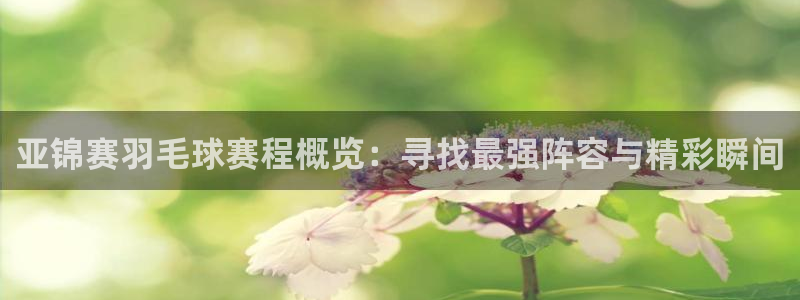 米兰体育俱乐部怎么样：亚锦赛羽毛球赛程概览：寻找最强阵容与精