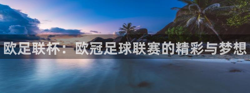 米兰体育钱包已锁定的原因及解决方法：欧足联杯：欧冠足球联赛的