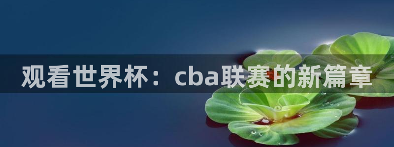 米兰体育法人代表是谁：观看世界杯：cba联赛的新篇章