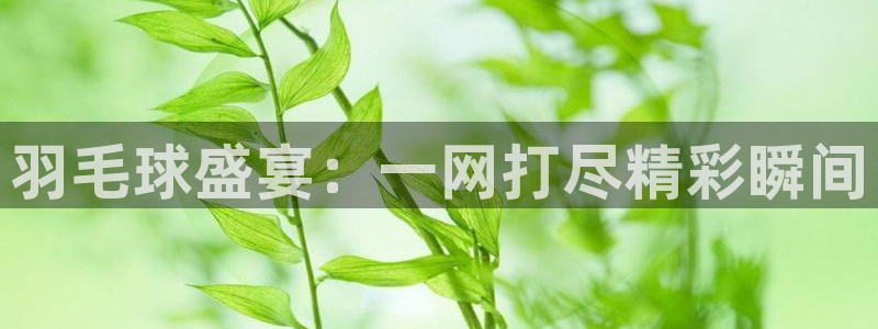 米兰体育报的准确度：羽毛球盛宴：一网打尽精彩瞬间