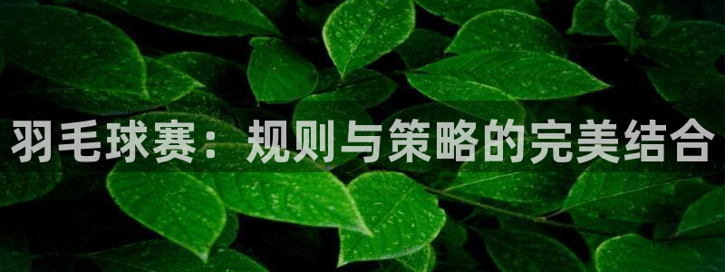 米兰体育场叫什么名字好听：羽毛球赛：规则与策略的完美结合