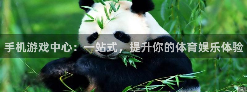 米兰体育场英文翻译：手机游戏中心：一站式，提升你的体育娱乐体