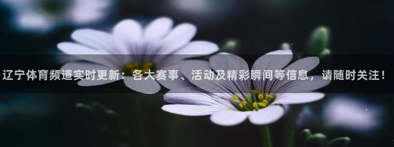 壹号平台注册链接官网下载：辽宁体育频道实时更新：各大赛事、活动及精彩瞬间等信息，请随时关注！