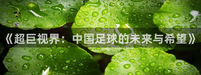 摩根娱乐手机客户端下载安装：《超巨视界：中国足球的未来与希望》
