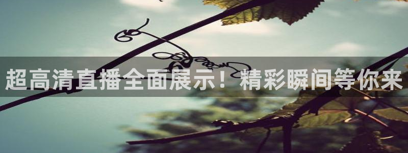 摩根娱乐官网：超高清直播全面展示！精彩瞬间等你来