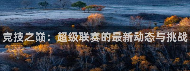 壹号大舞台,有梦你就来：竞技之巅：超级联赛的最新动态与挑战