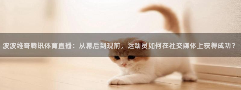 摩根娱乐ccm赏金女王：波波维奇腾讯体育直播：从幕后到现前，运动员如何在社交媒体上获得成功？