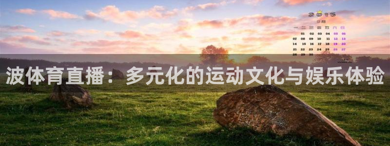 壹号平台下载安装：波体育直播：多元化的运动文化与娱乐体验