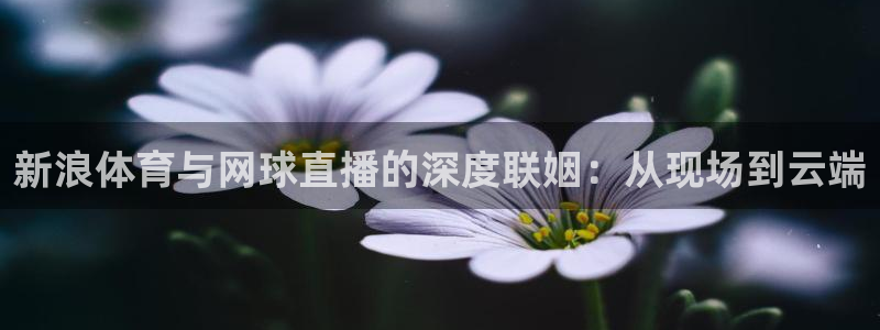 摩根娱乐注册：新浪体育与网球直播的深度联姻：从现场到云端