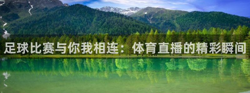 摩根娱乐ccm麻将胡了：足球比赛与你我相连：体育直播的精彩瞬间