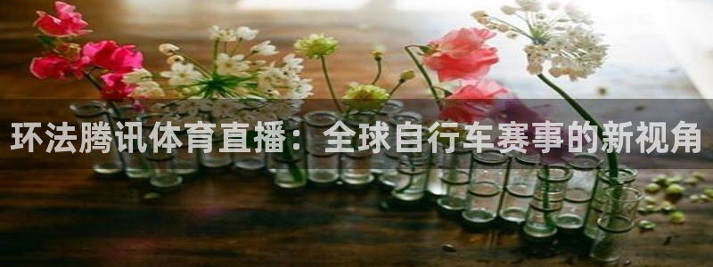 摩根娱乐官网下载：环法腾讯体育直播：全球自行车赛事的新视角