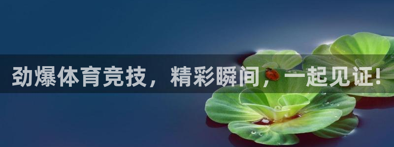 壹号电子娱乐app下载安装：劲爆体育竞技，精彩瞬间，一起见证!