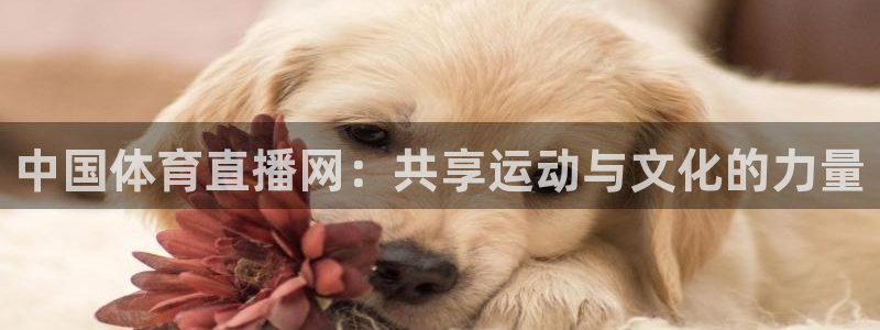 摩根娱乐麻将胡了：中国体育直播网：共享运动与文化的力量
