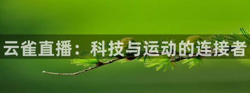 壹号平台app下载安装：云雀直播：科技与运动的连接者