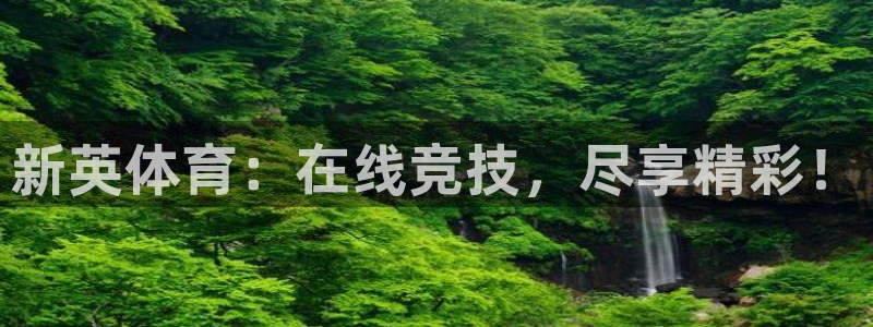 摩根娱乐游app：新英体育：在线竞技，尽享精彩！