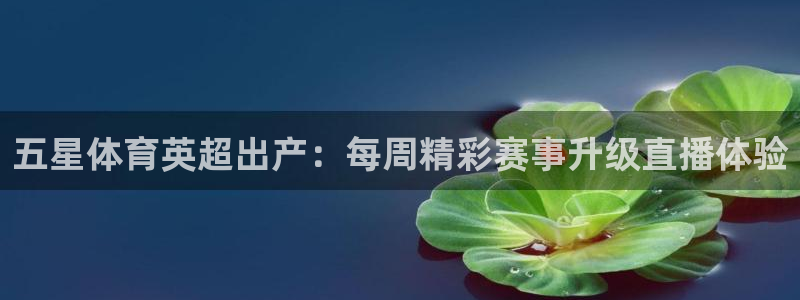 摩根娱乐电子游戏网页版：五星体育英超出产：每周精彩赛事升级直播体验