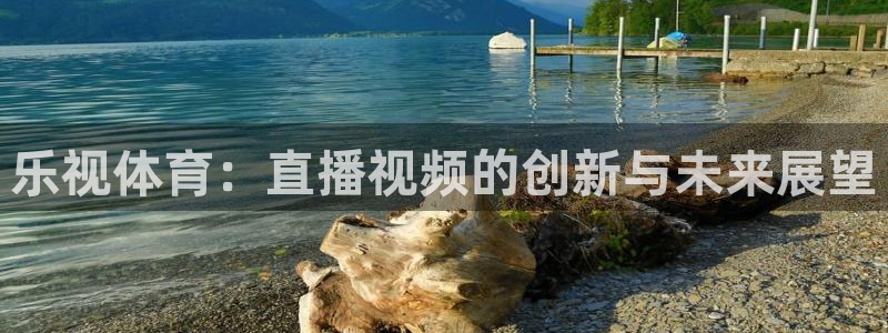 摩根娱乐,apk：乐视体育：直播视频的创新与未来展望