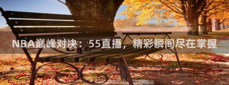 摩根娱乐能退款吗：NBA巅峰对决：55直播，精彩瞬间尽在掌握