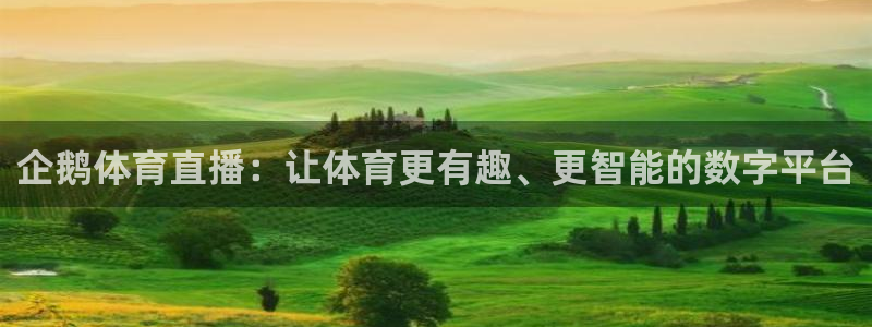 壹号平台下载安装：企鹅体育直播：让体育更有趣、更智能的数字平台