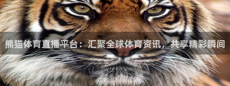 摩根娱乐网站：熊猫体育直播平台：汇聚全球体育资讯，共享精彩瞬间