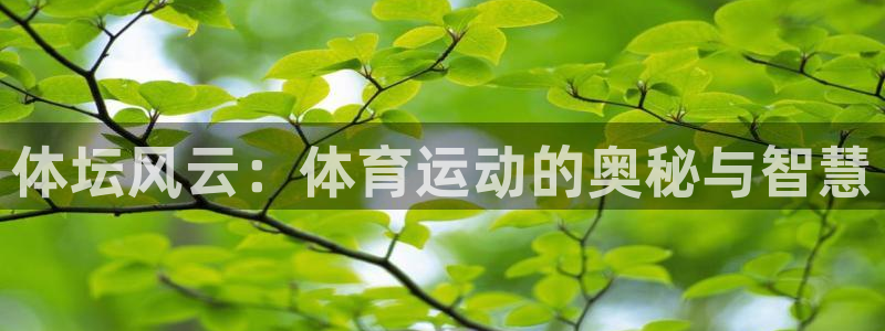 摩根娱乐app下载地址：体坛风云：体育运动的奥秘与智慧