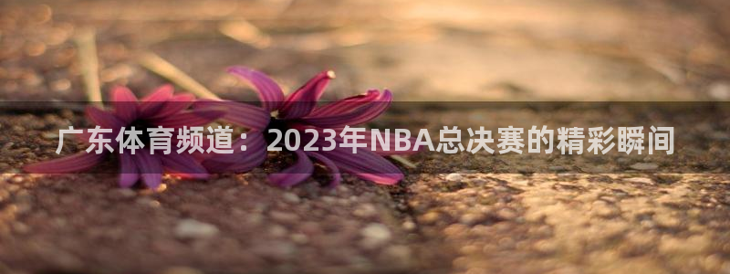 壹号电子娱乐app下载最新版：广东体育频道：2023年NBA总决赛的精彩瞬间