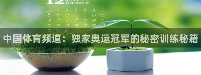 摩根娱乐app下载安装最新版：中国体育频道：独家奥运冠军的秘密训练秘籍