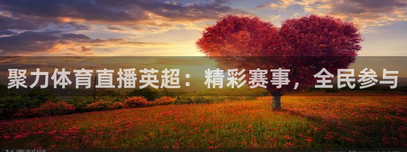 壹号app官方登录入口下载：聚力体育直播英超：精彩赛事，全民参与