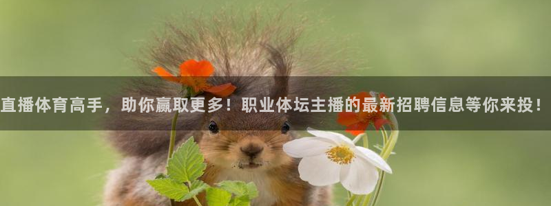 摩根娱乐平台官网版下载：直播体育高手，助你赢取更多！职业体坛主播的最新招聘信息等你来投！