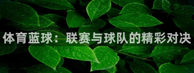 摩根娱乐注册入口：体育蓝球：联赛与球队的精彩对决